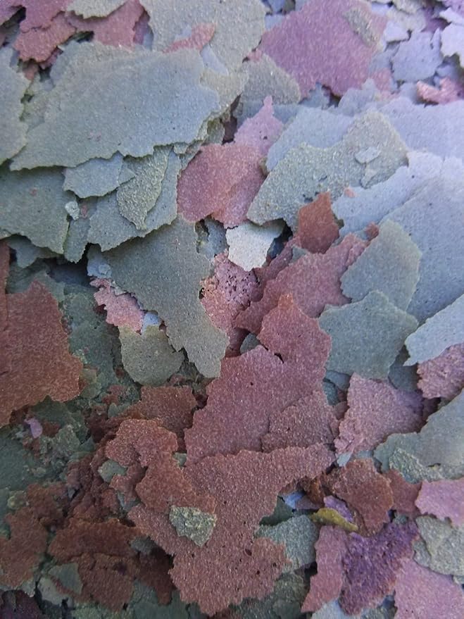 Aquatic Foods Inc. Flakes - 45% California Blackworm & Spirulina Green GRO Flake Mix for Discus, Cichlids, Tetras, Guppies, Live Bearers, Pond Fish, ATropical Fish - Premium AF Flakes - 1-lbs