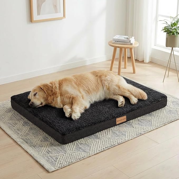 Patas Lague Orthopedic Large Dog Bed Washable Pet Sofa Mat 42''X28'' Black | Egg-Crate Foam Dog Couch For Large Sized Dogs, Waterproof Removable Cover, Soft Pet Crate Bed With Nonskid Bottom