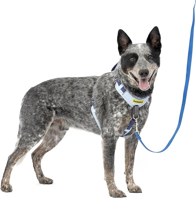 PetSafe Easy Walk Comfort No Pull Dog Harness, Blue, Medium | Stops Pulling on First Use with Front Martingale Loop, Full-Body Padding, 5-Point Adjustable Fit