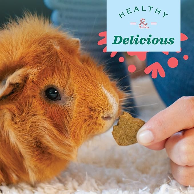 Oxbow Simple Rewards Apple Banana Treats, Timothy Hay Guinea Pig & Bunny Treats, Pet Snack, Made Guinea Pig Hay, Made in USA, Timothy for Rabbit, 3 oz Bag (Pack of 2)