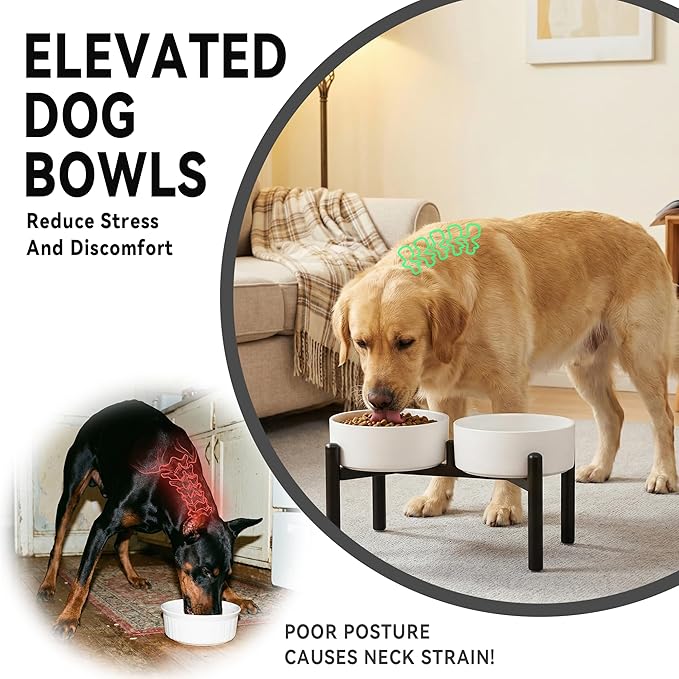 Raised Ceramic Dog Bowl Set with Stand, 7.5 Cups Elevated Dog Food Stand | 8.4'' Double Dog Food and Water Bowl Set, Non-Slip Dog Feeding Dishes for Small Breeds and Cats, 59.2 OZ, Green