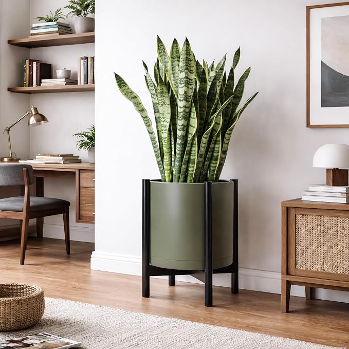 D'vine Dev Plastic Pot with Ebony Wood Stand, Olive, 16 in, 55-C-Z-3 | Mid-Century Inspired Design, Elevated Plant Display, Clean Lines, Sturdy Support, Modern Space-Saving Style