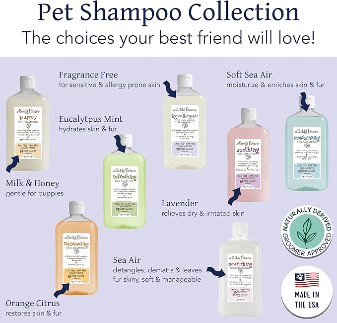 Bobbi Panter Hypoallergenic Dog Shampoo Honey, Aloe Vera, Chamomile & Rosemary – Dye & Fragrance Free Natural Formula for Sensitive & Allergy Skin, Tear-Free, 30:1 Concentrate, 14 oz (Case of 12)