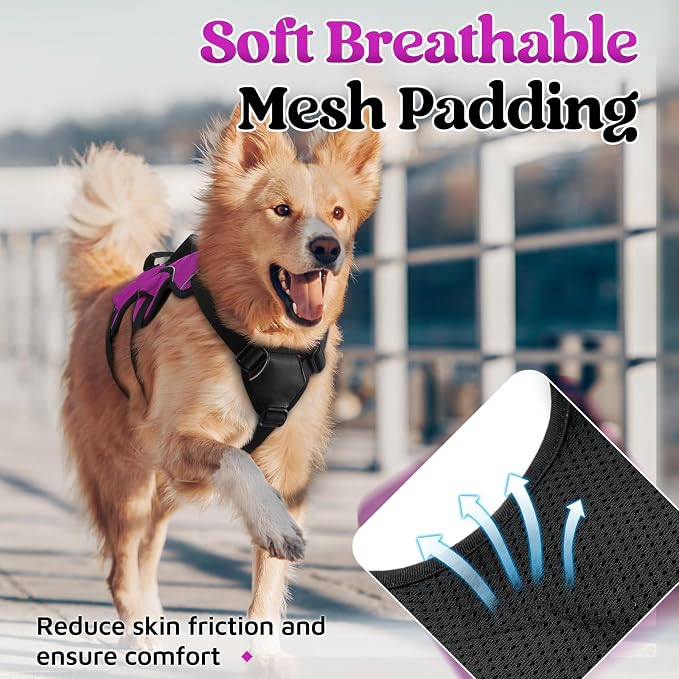 rabbitgoo Escape Proof Dog Harness for X-Large, No Pull with Lift Handle | No Escape, Full Soft Padded, Reflective Adjustable Vest, Leash Clip for Walking Hiking Training, Purple, X-Large