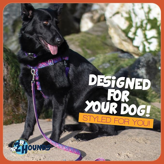 2 Hounds Design - Freedom No-Pull Harness & Training Leash in Pink and Purple | Dual Leash Loops, No Pulling on Walks | Lined to Prevent Chaffing | for Large Sized Dogs (Size M, Chest 24”- 28”)