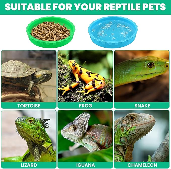 6 Pcs Gecko Feeding Cups,Silicone Geckos Food Cup,Silicone Gecko Feedings Cup,and Water Bowl,Reptile Feeding Cups for Geckos,Isopods,Lizards,Tarantula,Small Pets,Easy Clean & 6 Colors