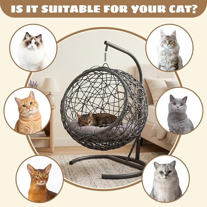 Hanging Cat Swing Bed with Stand, Rattan Egg Chair for Cats | Rattan Egg Chair Design, Soft Cushion, Stable Stand, Cozy Swinging Resting Spot For Cats And Small Dogs