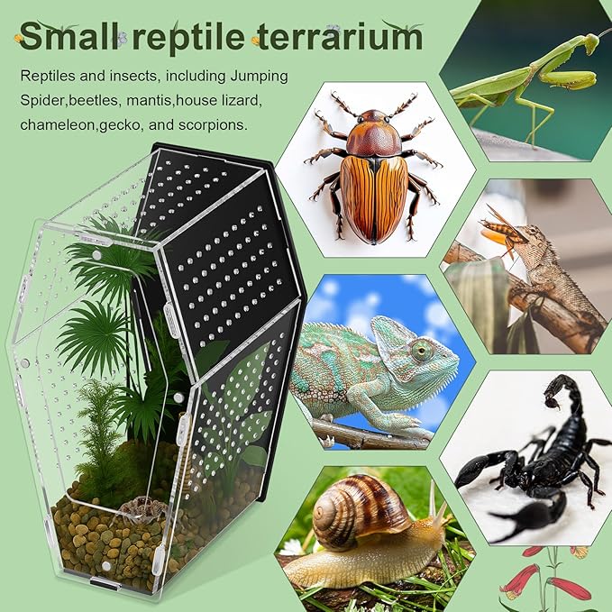 Yalikop Acrylic Jumping Spider Habitat Versatile Reptile Enclosure Transparent Insect Terrarium Habitat for Spiders, Tarantula, Gecko, Chameleon, Beetle, Mantis, and Hermit Crab(Black and Clear,L)