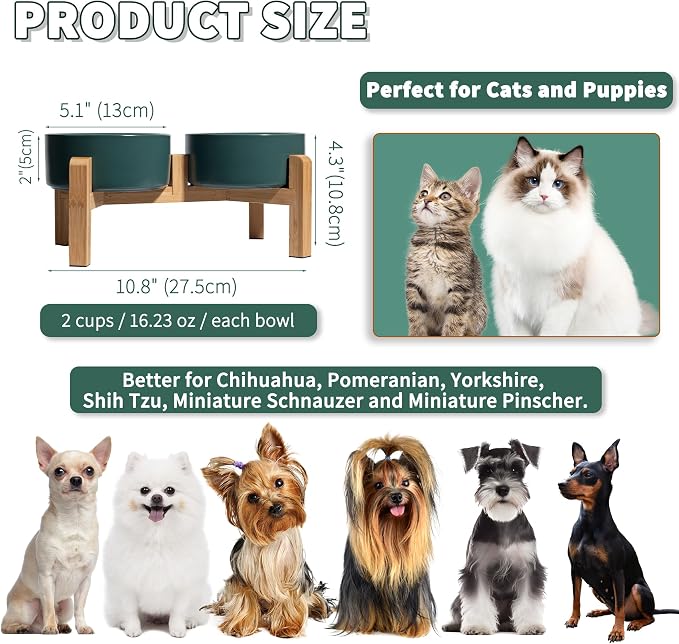 Elevated Ceramic Dog Bowl, 2 Cups Dog Food and Water Bowl Set with Stand | 5.1'' Double Dog Feeding Dishes, Non-Slip Raised Dog Feeder for Cats and Puppies, 16.23 OZ / 480 ML, White