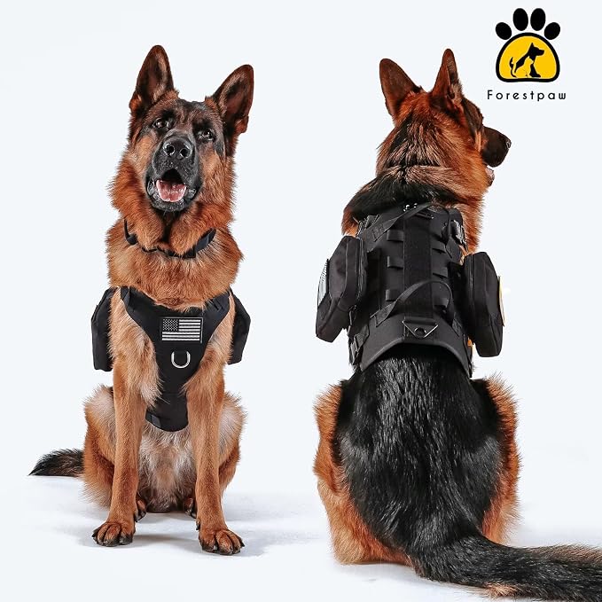 Forestpaw Tactical Dog Harness for Medium Dogs,Tactical Dog Collar with Bungee Leash Set,No Pull Military Dog Harness for Walking Training,Adjustable for Medium Dogs,Black,Chest 22-35"