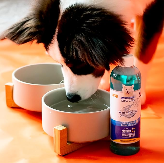 Nylabone Advanced Oral Care Pet Dental Water Additive, Liquid Tartar Remover & Breath Freshener for Dogs, Dog Teeth-Cleaning, Original Flavor, 16 oz.