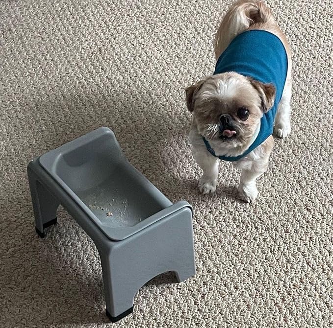 Fluff Trough Elevated Dog Bowl for Food | 5inch Tall Cat & Dog Feeding Station | Vet Approved Non-Toxic Silicone Feeder Bowl Insert | Raised Bowl for Medium and Small Dog/Pet with Flat Face (Gray)