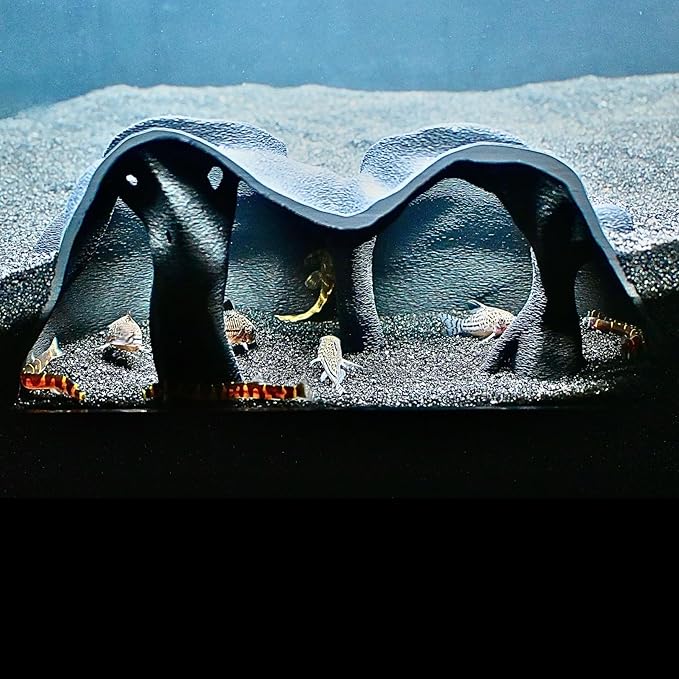 Aquarium Underground Cave Natural Mangrove Tree | Viewing Fish Under Gravel Tunnel Hide | Fish Tank Hideout Decor Decoration Enrichment for Corydora Catfish, Kuhli Loach, Clown Loach, Pleco, Betta