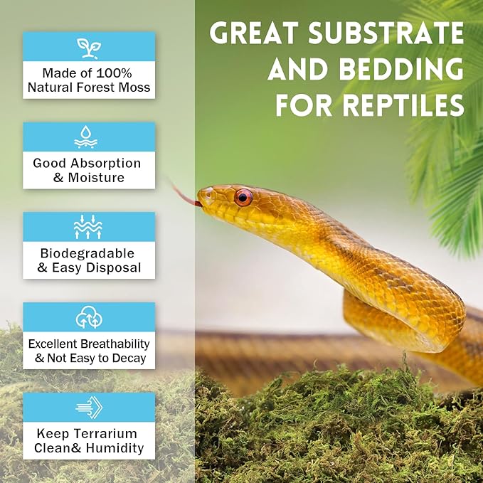 Riare 7 OZ Premium Sphagnum Moss for Reptiles- 10QT Natural Live Moss Reptile Moss Bedding for Terrarium, Hatching, Forest Sphagnum Moss Reptile Substrate for Snakes, Gecko, Turtles, Frogs, Leopard
