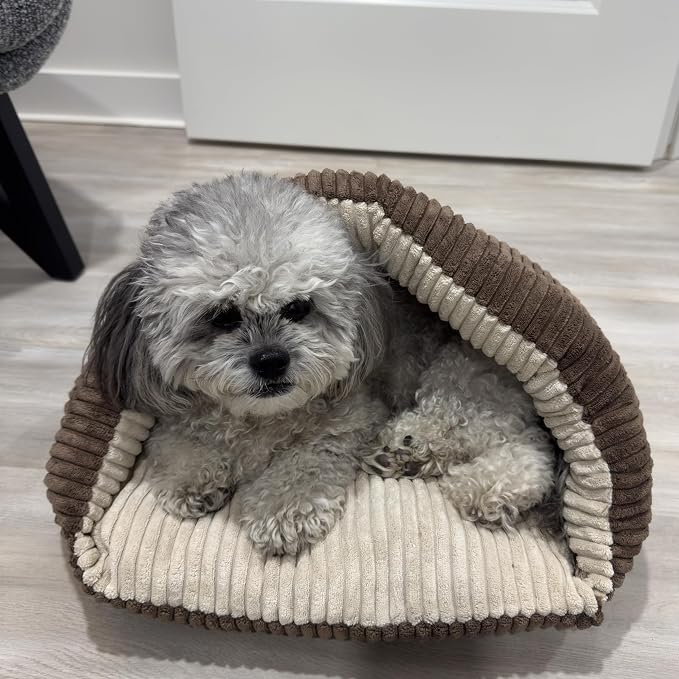 SPOT Sleep Zone Cuddle Cave - Cat Cave Bed for Indoor Cats and Mini Dogs, Durable, Comfortable, Washable for Kittens and Puppies Under 10 lbs and 12 inches Long, Corduroy Brown