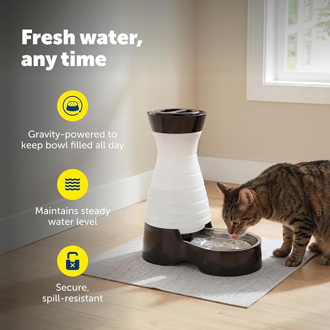 PetSafe Healthy Pet Food & Water Station, Medium, 2-Pack Filters | Gravity Food & Water Station, 4 lb food, 128 oz Water, Dishwasher-Safe Stainless Bowl, Extra Filters