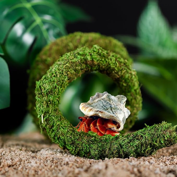 USMOLA Bendable Hermit Crab Climbing Toys, Adjustable Fake Moss Vine for Pet Snail Hermet Crab Habitat Hideouts Tank Terrarium Accessories (Natural Green, 20Inch)
