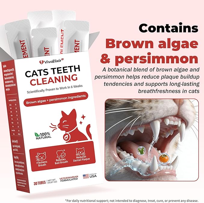 Cat Dental Care & Cat Teeth Cleaning Gel Treat for Cats – Dental Care for Cats, Cat Oral Care to Freshen Cat Breath, Help Reduce Plaque Buildup, Cats Bad Breath Support with Papain, MCC