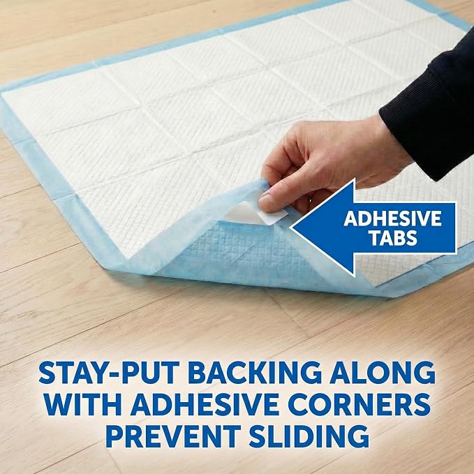 Pee Pads for Dogs Extra Large 37x54 XXXL 50 Count Leak Proof Heavy Duty | With adhesive tabs, 24 hour absorbent, disposable XXL puppy training pads for large dog breeds. 6-layer, non-slip backing