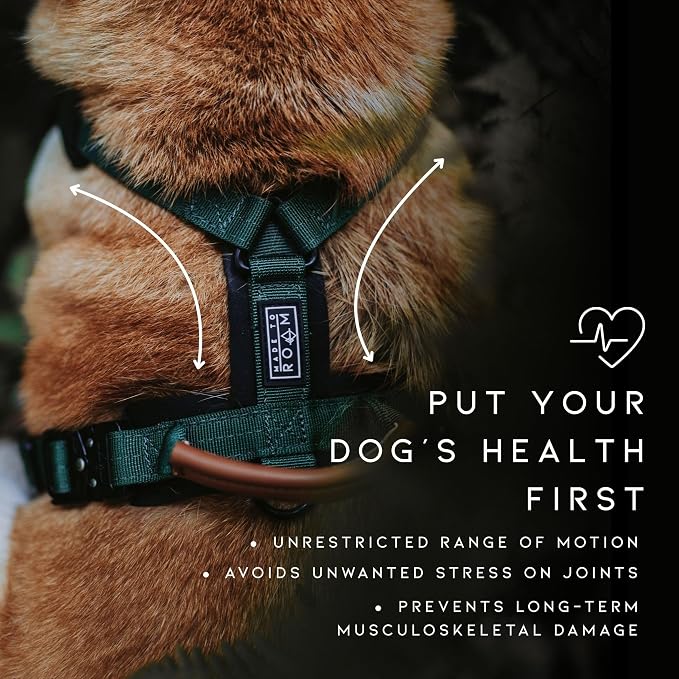 MADE TO ROAM Premium Explorer Harness - Y-Shaped Dog Harness with Adjustable Durable Nylon, Soft Padding, Metal Buckles and Leather Handle for Small, Medium, Large Dogs (Carolina Blooms, Size 6)