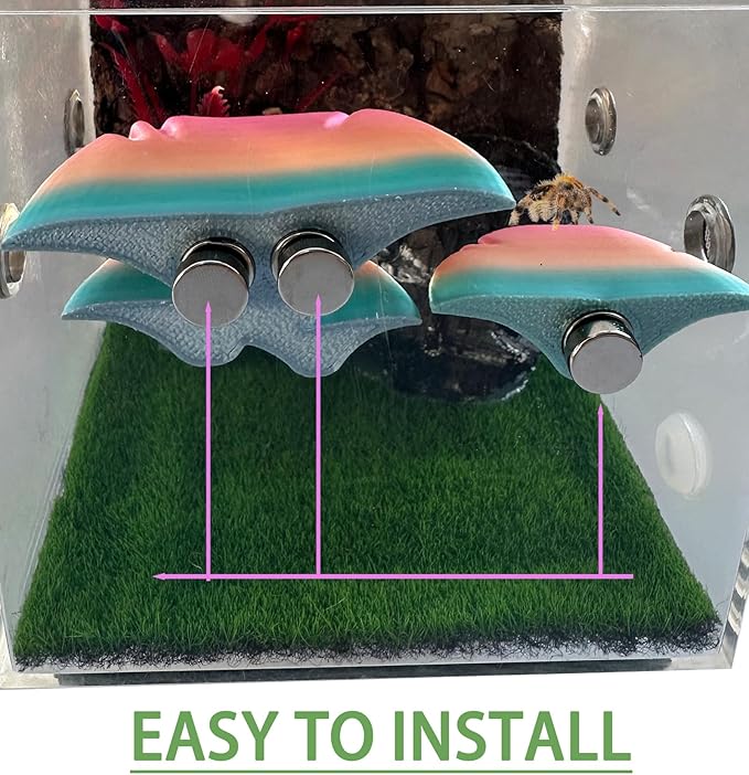 2 Pack Jumping Spider Accessories Mushroom Ledges & 1 Pack Water Bowl with Magnets for Spoods Jumping Spiders Magnetic Ledge Ladder Pet Spider Accessories (Not Included The Terrarium)