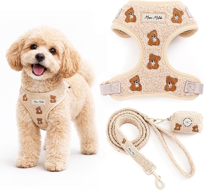 Embroidered Matching Dog Harness and Leash Set with Poop Bag – No Pull, Adjustable, Padded, Breathable Harness for Puppies, Extra Small Dogs, Small Dogs, and Medium Dogs (Extra Small)