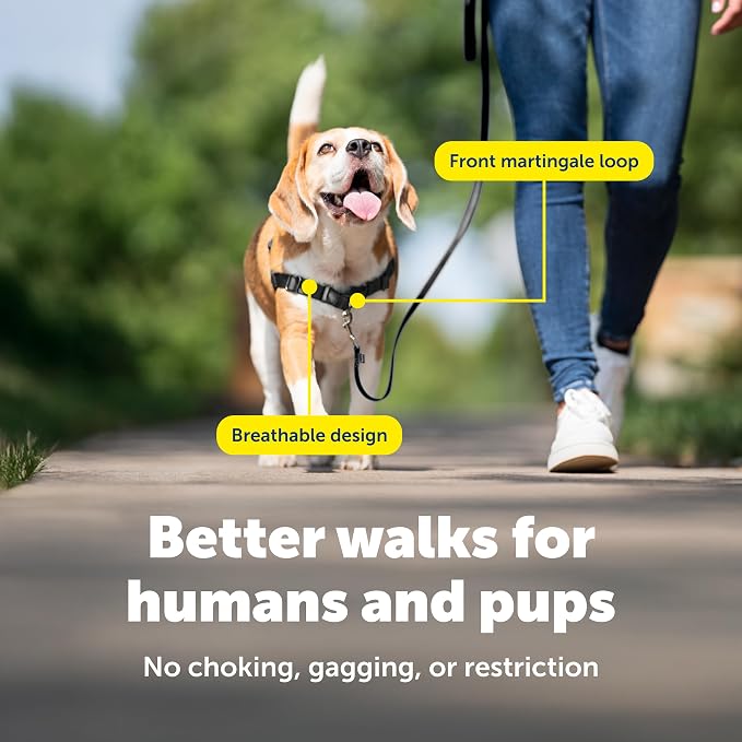 PetSafe Easy Walk Harness for Dogs - Pull-Free Walks - Patented Martingale Loop Design - Front Chest Leash Attachment - Comfort Straps - Breathable Harness Design - Small/Medium, Apple Green/Gray | Patented Martingale Loop Gives Gradual Shoulder Pressu...
