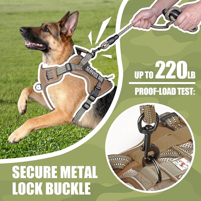 Service Dog Tactical Vest Harness and Leash Set Small Sized Dog Emotional Support- Tactical Dog Harness Training Collar with Name (Khaki, S)