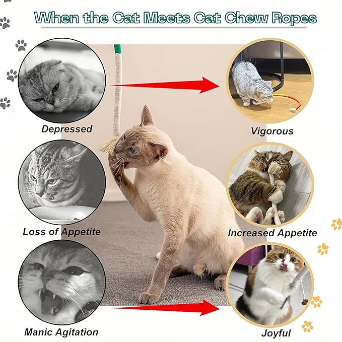 Cat Chew Toys Cat Toys, Silvervine Sticks for Cats Teeth Cleaning Rope, Kitten Teething Dental Care, Kitty for Indoor Cats Increase Appetite, Enhances Oral & Dental Health (21 Pack)