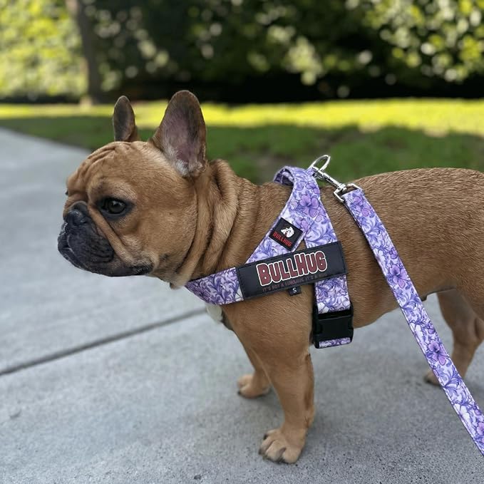 Adjustable Dog Harness– No Pull, No Choke – for English Bulldogs, French Bulldogs, Pugs & Broad-Chested Breeds – Easy, Safe Walks (Purple Floral, Large)