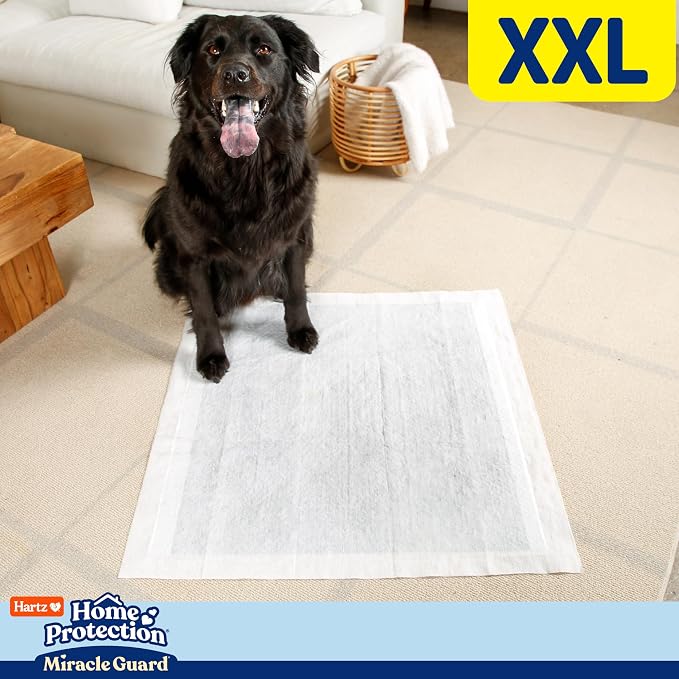 Hartz Miracle Guard Dog and Puppy Dog Pads Max Absorbency 24 Hour Use Odor Eliminating No Leaks, 2XL Size, 20 Count (Pack of 2)