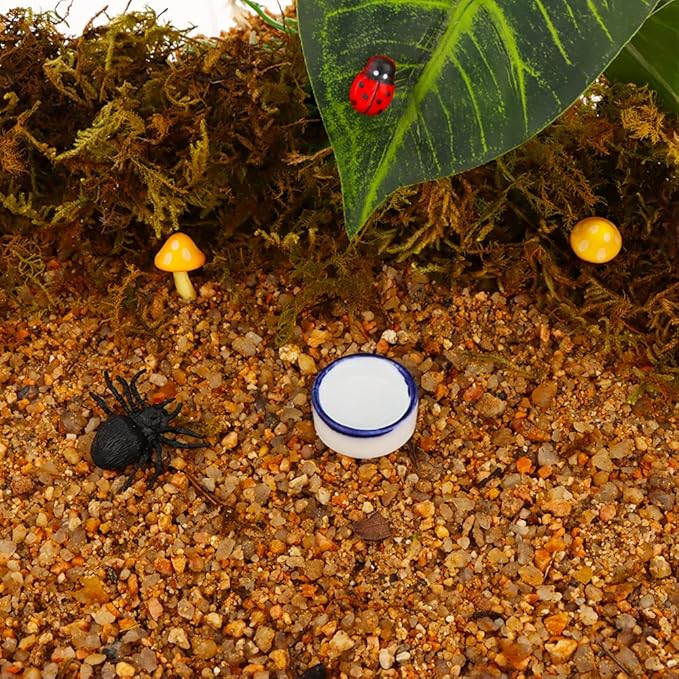 10 Pcs Spider Micro Water Bowl Mini Ceramic Dish for Tiny Reptile Spider Millipede Tarantula (Small Size: 0.86" D, 0.43" H)
