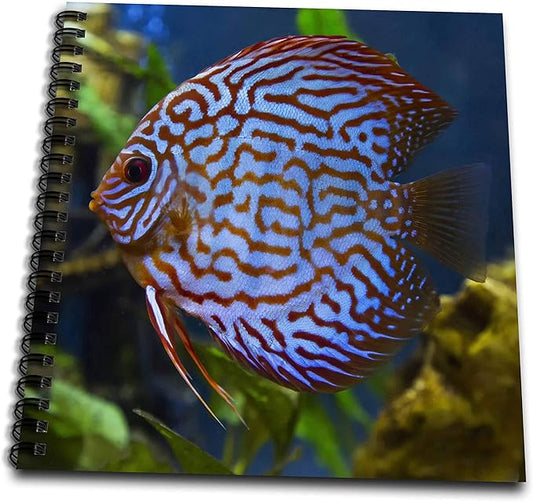 Memory Book 12 x 12 inch - Freshwater tropical discus, Mosaic Turquoise Discus. Fish