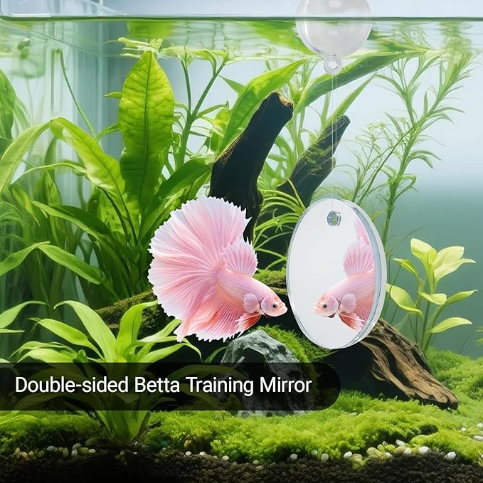Betta Fish Toy Set: Betta Training Floating Mirror, Training/Feeding Ring, Spoon, and Resting Leaf. Promotes Exercise. Betta Toys, Resting & Feeding Kit, Orange