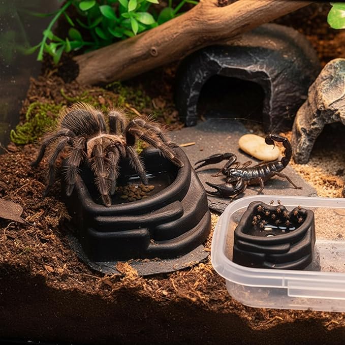Miniature Water Dish for Scorpions Tanks and Arachnids Cages Nonslip Base Easy to Hygienic Transparents Reptiles Water Container