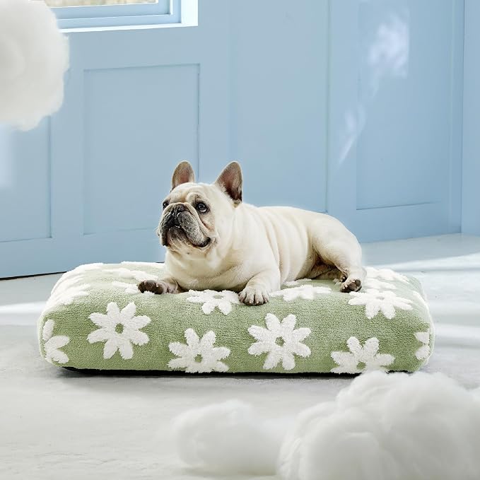LE SURE Cute Aesthetic Bed Medium Size Dog,Jacquard Thick Pet Pillow 30x20 | Shredded Chopped Foam,Modern Plush Crate Cushion Gift for Medium Size Dog, Waterproof Washable Cover, Nonslip Bottom, Green