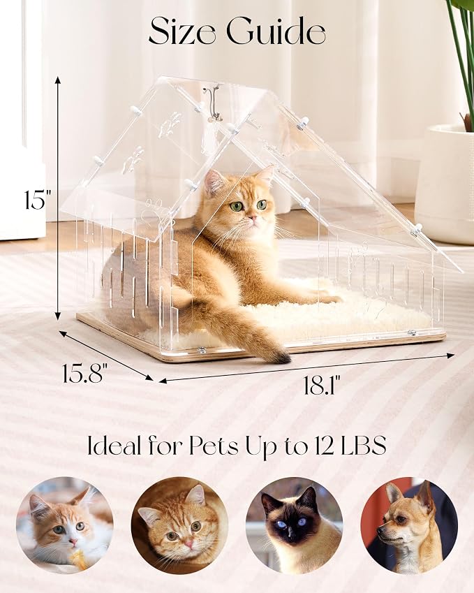 Acrylic Cat House for Indoor Cats, Transparent Cat Bed Cave with Plush Cushion & Hanging Toys, Modern Ventilated Cat Condo with Sturdy Wooden Base for Adult Cats & Kittens up to 12 lbs, White