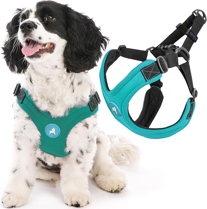 Gooby Escape Free Sport Dog Harness, Choke-Free, Turquoise, Large | Patented escape-free frame; Reduces choking; 4-point adjustment; Soft neoprene padding; Durable webbed straps