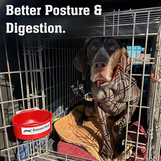 Dog Crate Water Bowl No Spill, 20oz Food-Grade Polypropylene Feeder (Red) | Secure Crate Mount with Covered Parts, Travel-Ready, Easy-To-Clean Design for Home, Crate Training and Travel
