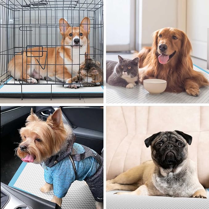 Boscute Thicken 6 Layers Heavy Absorbent XL 36"x24" Pet Training Dog Pee Pads, Extra Large Polymer Leak-Proof Quick Dry Puppy Pee Pads, Disposable Pee Pads for Dogs Cats Rabbit, 150 Counts | Heavy Absorbent up to 7 Cups, Quick Dry, for Dogs Cats Rabbit...