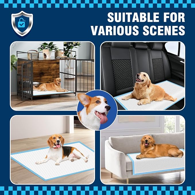 VJJ Dog Pads 100 Pack 30"x35", Dog Pads Extra Large for Pets, Disposable Large Pee Pads for Doggy & Puppy Training Pads, Piddle Pads for Indoor, Outdoor Use