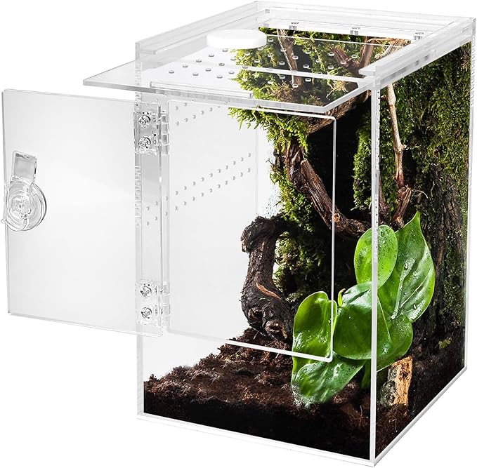 Tall Arboreal Tarantula Enclosure【𝐍𝐨 𝐀𝐬𝐬𝐞𝐦𝐛𝐥𝐲 𝐑𝐞𝐪𝐮𝐢𝐫𝐞𝐝】, Jumping Spider Enclosure, Front Above Opening, Cross Ventilation, Acrylic Arboreal Reptile Enclosure,Praying Mantis Enclosure
