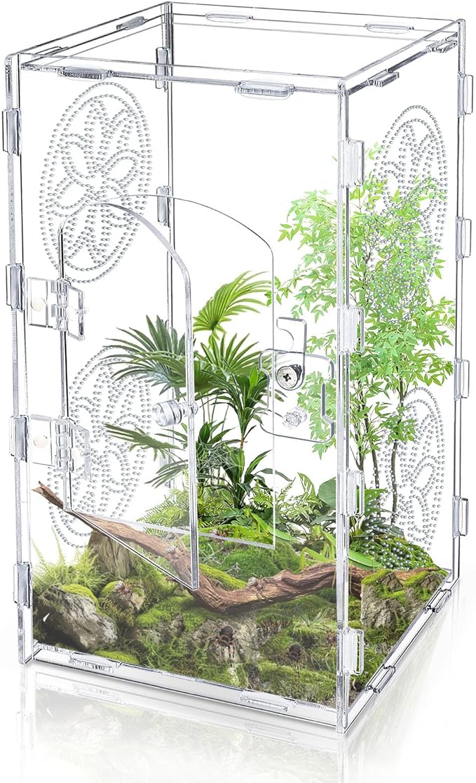 Large Jumping Spider Enclosure, 12x6x6 Inch Acrylic Tarantula Enclosure, Jumping Spider Accessories with Front Opening Door