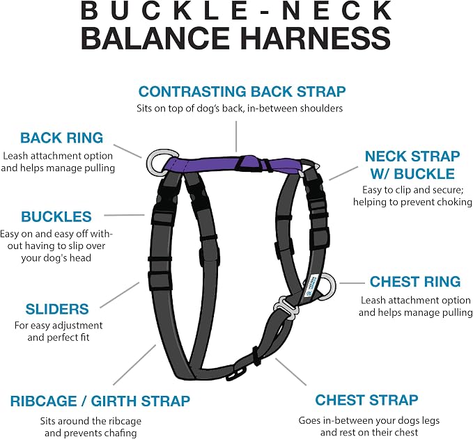 Blue-9 Buckle-Neck Balance Harness, Fully Customizable Fit No-Pull Harness, Ideal for Dog Training and Obedience, Made in The USA, X-Small, Purple