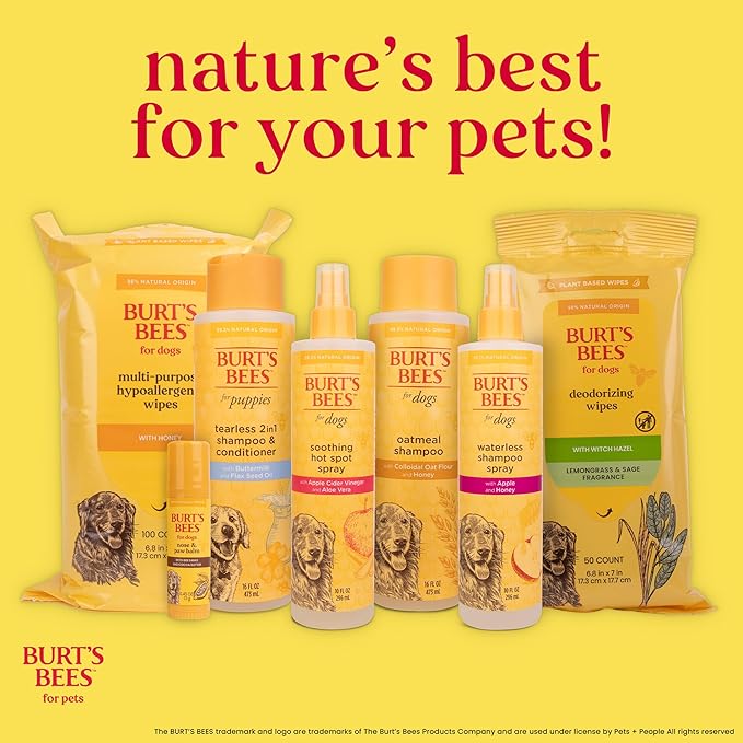 Burt's Bees for Pets Itch Soothing Dog Shampoo for Itchy Skin, pH Balanced Honeysuckle with Skin-Conditioning Honey, 95%+ Natural Origin Formula, No Sulfates, Fragrances, or Colorants, 16 Fl Oz - 6 Pk