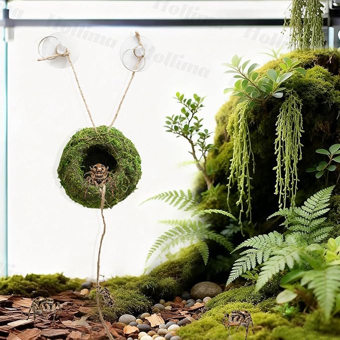 Jumping Spider Moss Cave Hide, Round Green Small Spider Moss Hideout, Jumping Spiders Cave Accessory for Reptile Terrarium