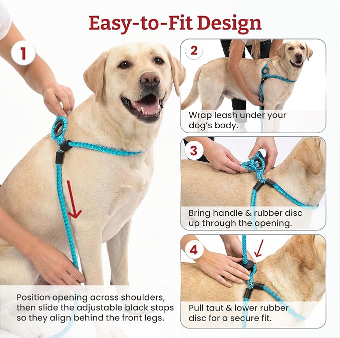 Harness Lead No Pull Dog Harness and Leash Set, Anti Pull Dog Harness, One-Piece Cushioned Rope Safely Prevents Escaping and Pulling (Extra Large, Black Reflective)