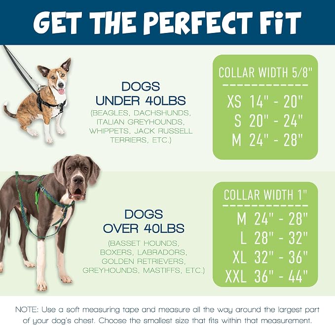 2 Hounds Design Freedom No Pull Dog Harness, 5/8 inch MD, Raspberry | Discourages Pulling, Comfortable Control Adjustable Dog Harness for Medium Sized Dogs, Made in USA (Leash Not Included)