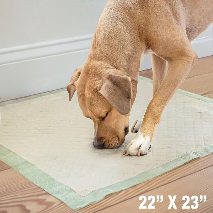 Four Paws Wee-Wee Superior Performance Eco Bamboo Dog Pee Pads, 32 Count | Earth friendly, bleach-free, dye-free, dog & puppy potty training pads, leak-proof, 24-hour protection pee pads, 22" x 23"