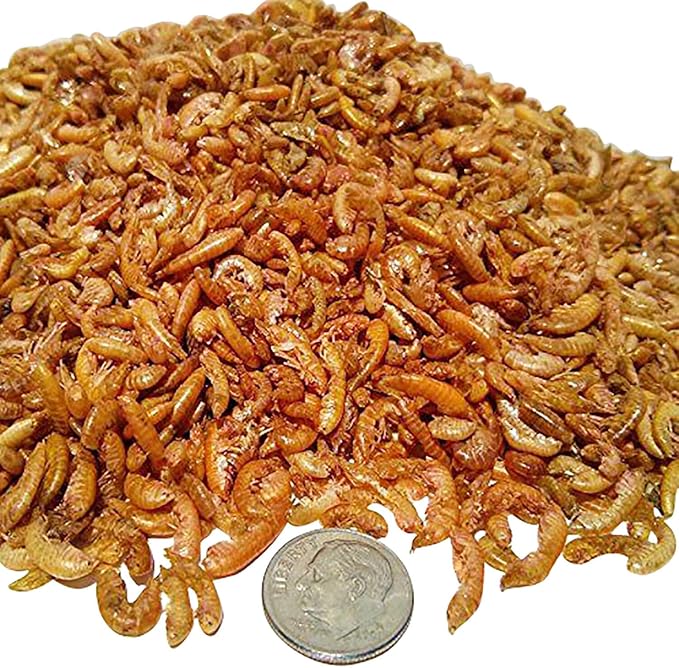 Aquatic Foods Inc. Gammarus Shrimp-Freeze Dried. Great for All Tropical, Marine, Cichlids, Carnivores, Discus, Coldwater Fish, Goldfish, Koi, Turtles Even Birds and Reptiles…1-lb Lg Jar